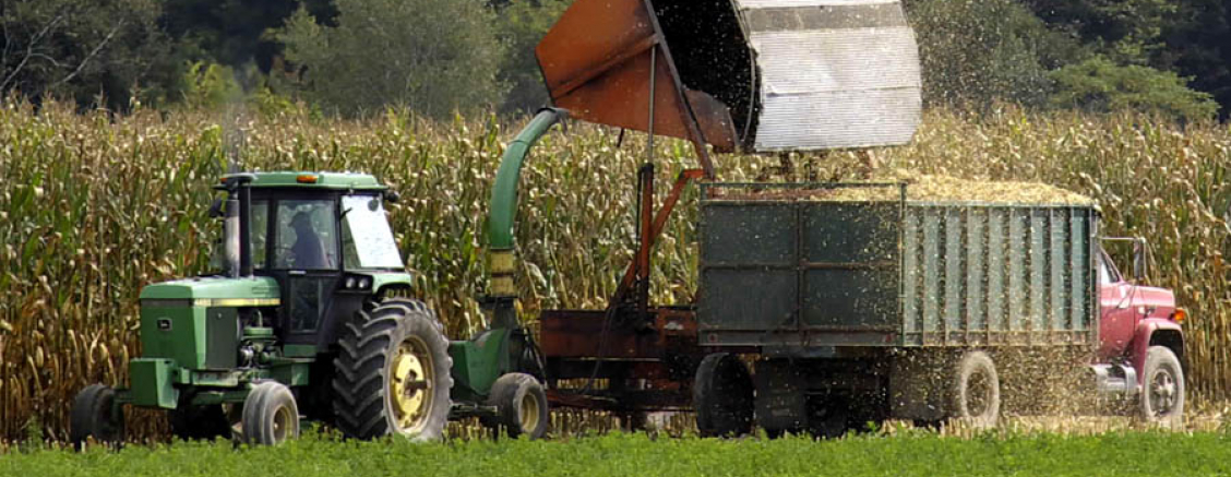 Preferencyjne, szybkie, tanie kredyty i pożyczki dla rolników ryczałtowych, również działy specjalne produkcji rolnej Gliwice