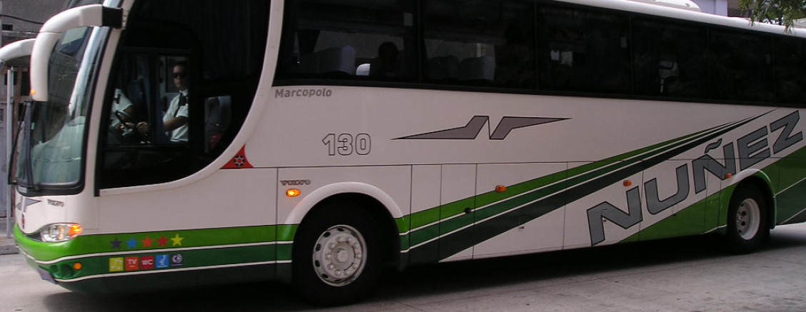 Szybkie, ekspresowe przejazdy do Niemiec i Holandii wygodnym busem Piła