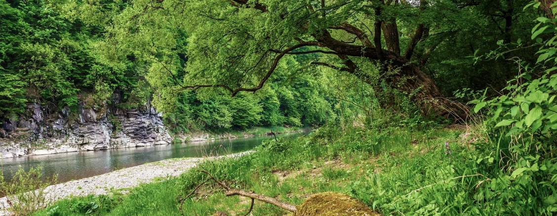 Atrakcyjne miejsce do wypoczynku nad rzeką dla rodzin z dziećmi Najlepsze miejsce na spływ kajakowy Krutyń