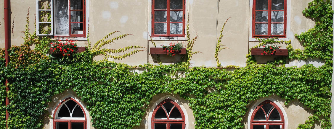 Les fenêtres solides, de bois et d’aluminium, en bois de pin, de chêne et de merrains, à triple vitrage. Paris